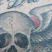 Tattoos - Skull with Wings and Roses - 32951